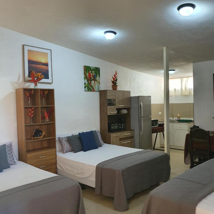 Bahía Ballena Loft Hotel Uvita Bagian luar foto