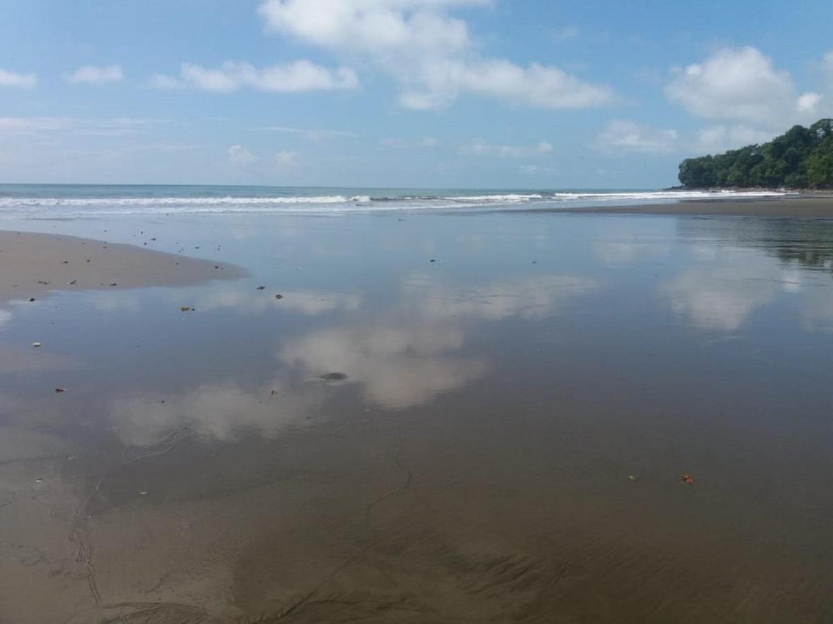 Bahía Ballena Loft Hotel Uvita Bagian luar foto