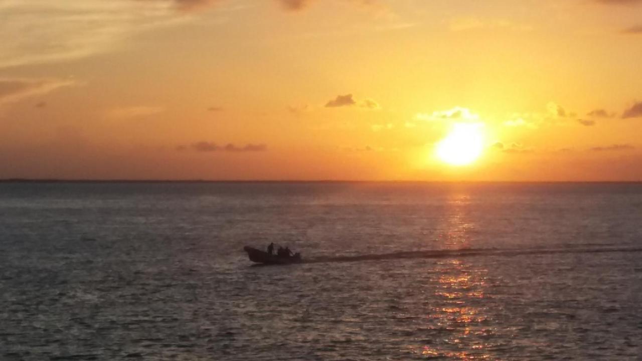 Bahía Ballena Loft Hotel Uvita Bagian luar foto